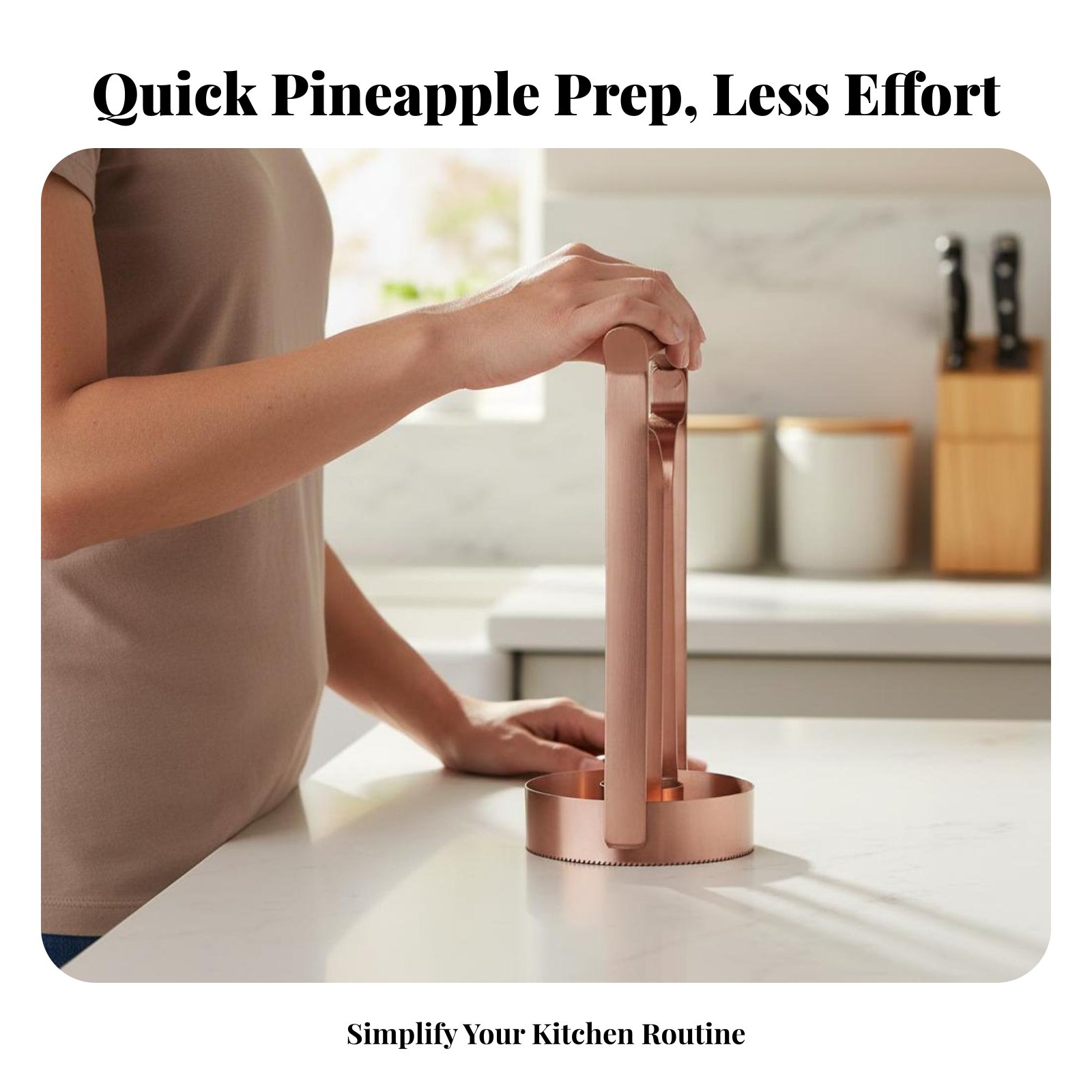 Stainless Steel Pineapple Cutt - Kitchen Gadgets And Tools ulasan dan harga