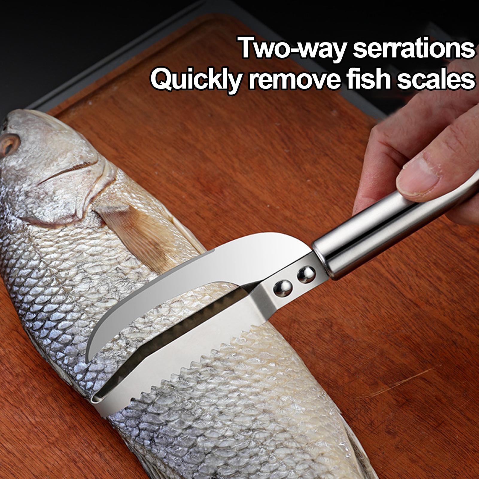 Pisau Pengupas Sisik Ikan, Pen - Kitchen Gadget Amazon ulasan dan harga