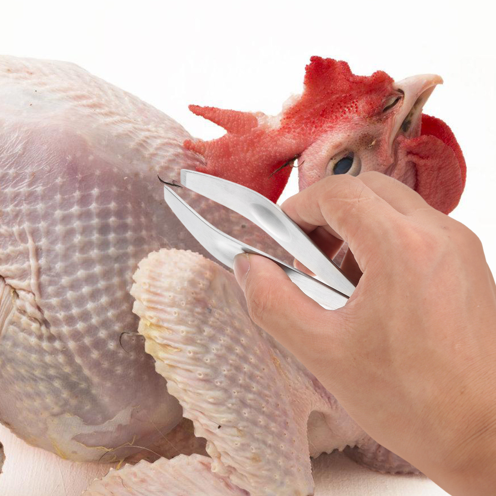 2 Buah Penjepit Tulang Ikan da - Kitchen Gadgets Men ulasan dan harga