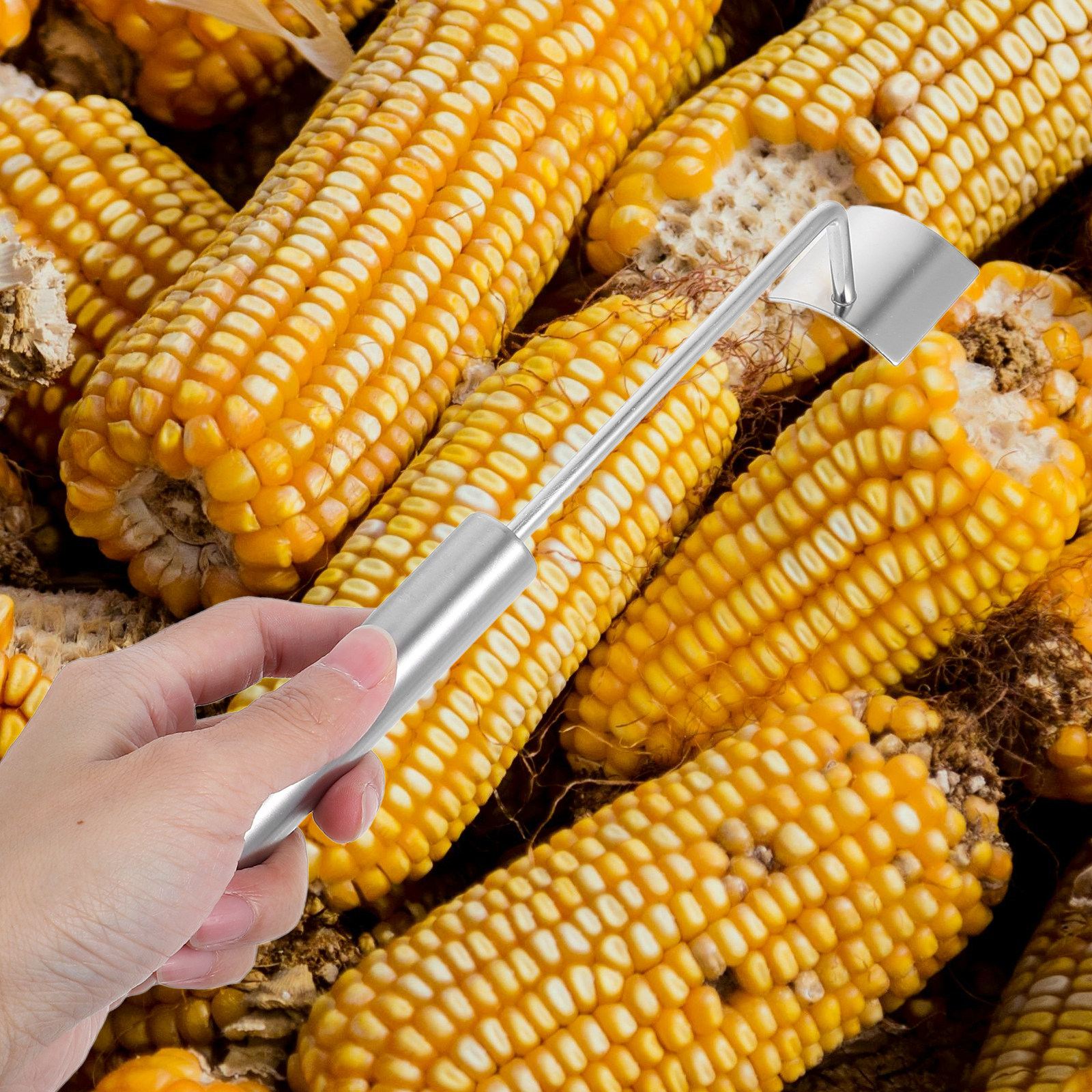 Alat Pengupas Jagung dari Bata - Kitchen Gadgets And Tools ulasan dan harga